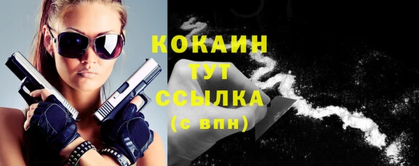 прущие грибы Елизово