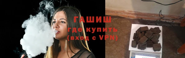 прущие грибы Елизово