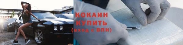 прущие грибы Елизово