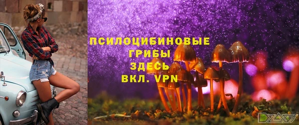 прущие грибы Елизово