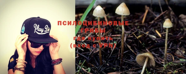 мяу мяу кристалл Ельня