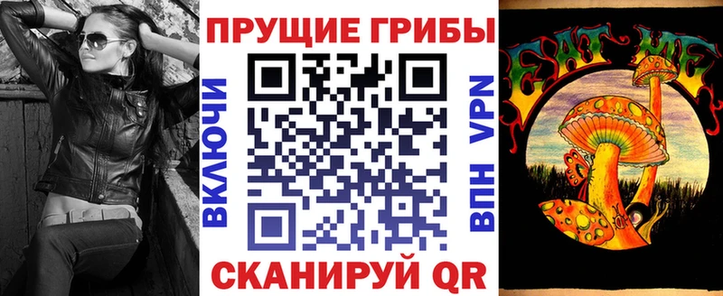 купить  цена  Бологое  Псилоцибиновые грибы ЛСД 