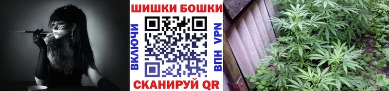 где найти наркотики  Бологое  Бошки Шишки MAZAR 